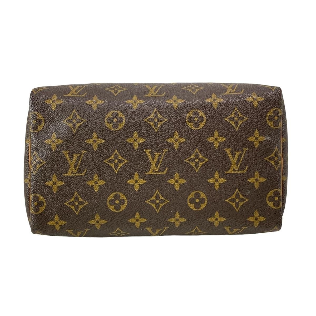 Louis Vuitton Speedy 25 5